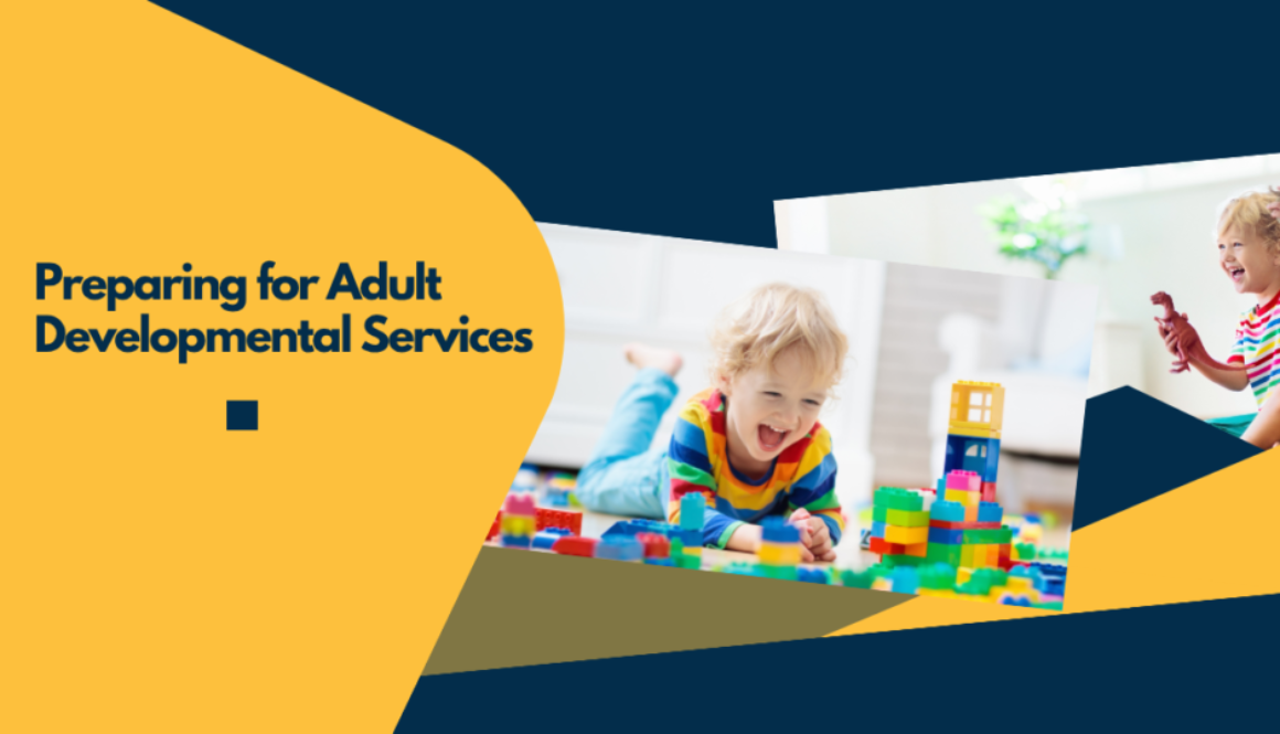 Preparing for Adult Developmental Services